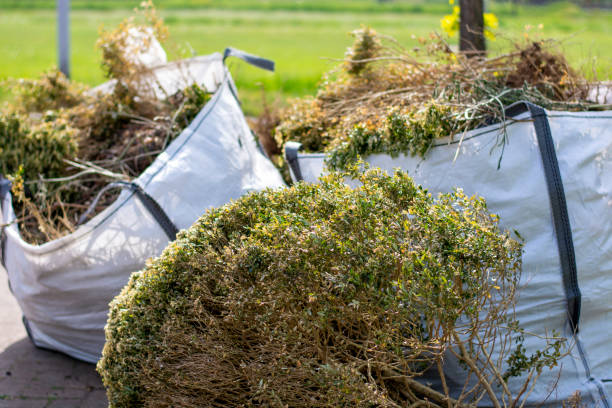  Leona Valley, CA Junk Removal Pros