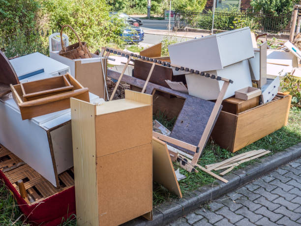 Yard Cleanup Services in Leona Valley, CA
